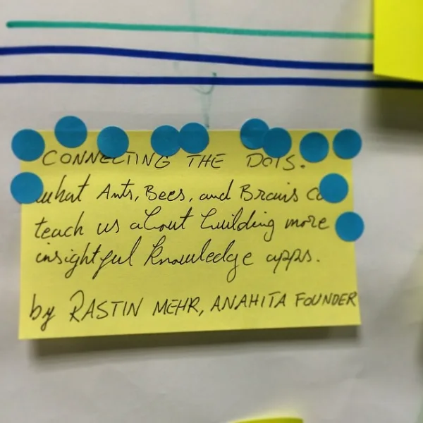 Anahita’s talk wins the most votes at the NookuJam unconference, Leuven, Belgium